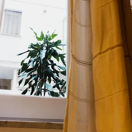 Appartement Casa Madi